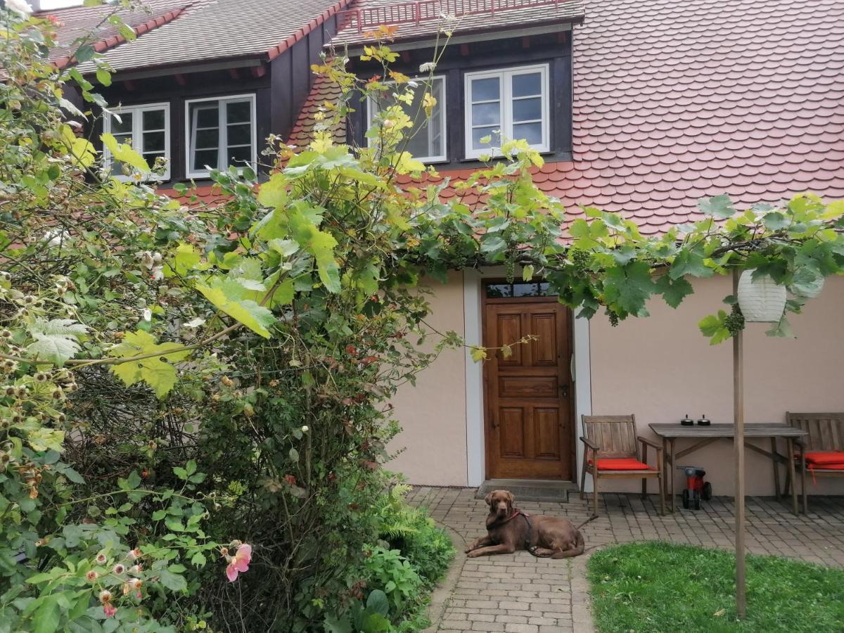 Ferienwohnungen Wastl Fraenkische Schweiz Hiltpoltstein Exteriör bild
